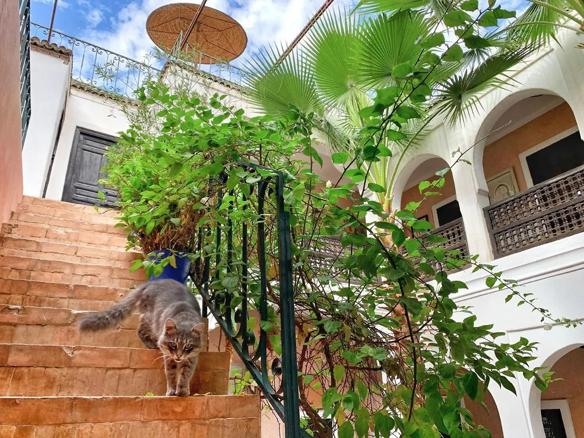 Riad Rockech Marakeş Fas