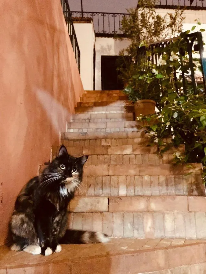 Riad Rockech Marakeş
