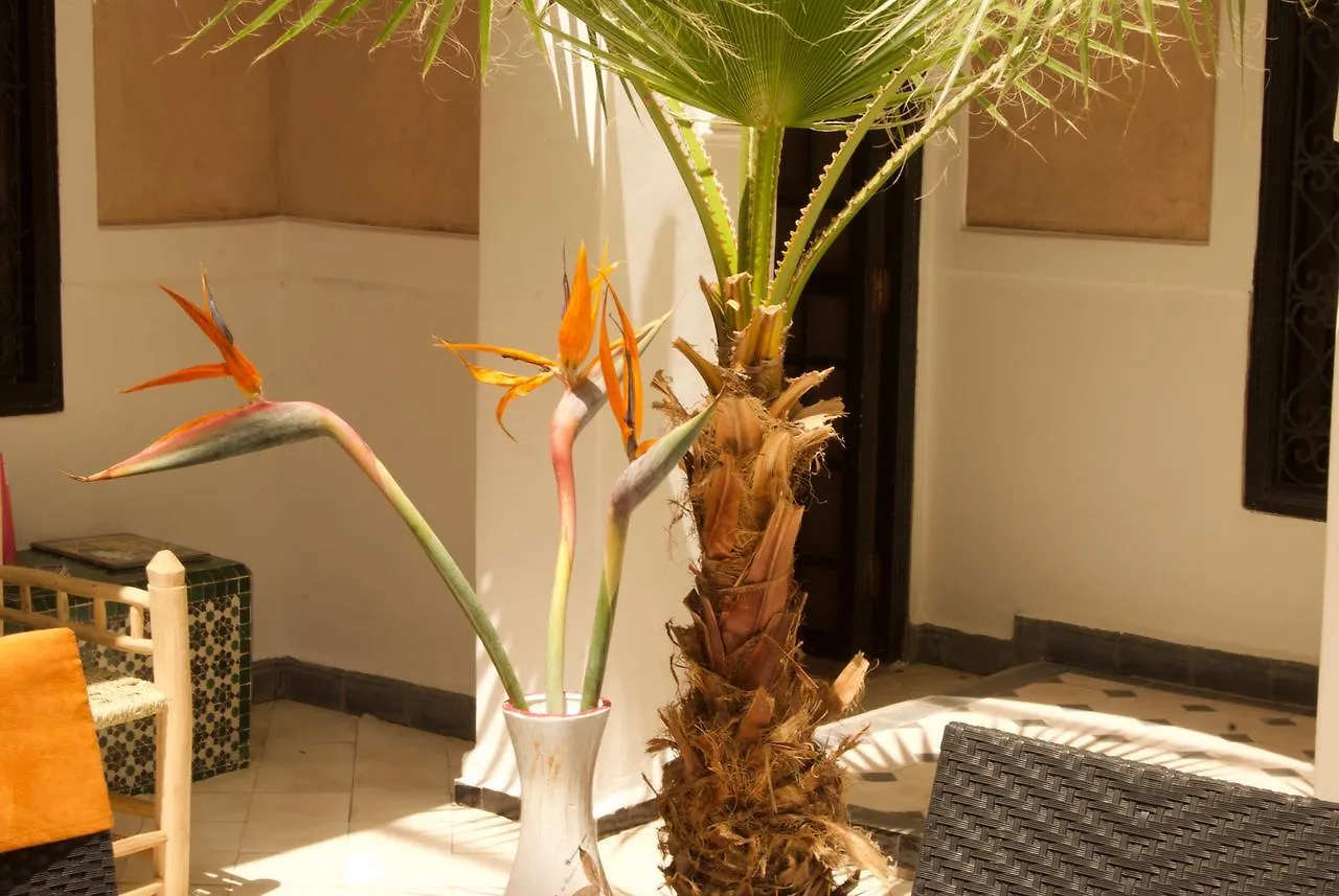 Riad Rockech Marakeş